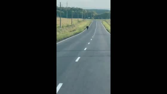 Russian soldiers rescue conscript after combat with Ukrainian Forces in Kursk Region