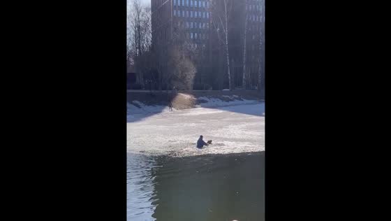Petersburg man bravely rescues drowning dog in Serebryany Pond Park