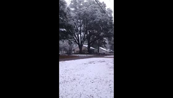 Snow blankets the area amid winter storm conditions in  Geneva, Alabama, USA