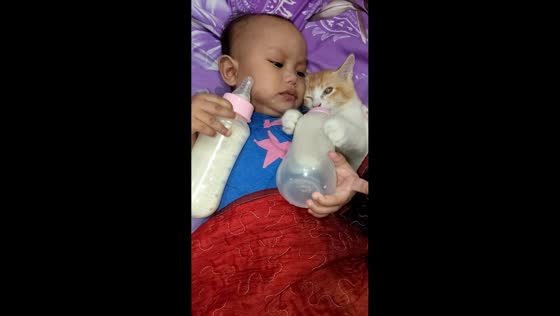 Baby and pet cat drink milk together in Wilayah Persekutuan Labuan, Malaysia