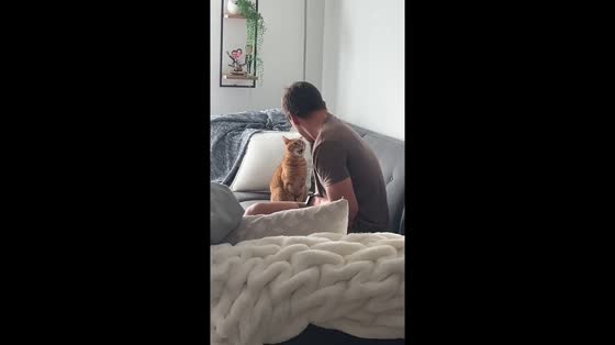 Cat repeatedly meows at man in Miami, Florida, USA