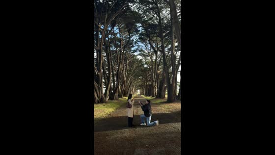 Surprise proposal during a couple shoot at Cypress Tree Tunnel in California, USA
