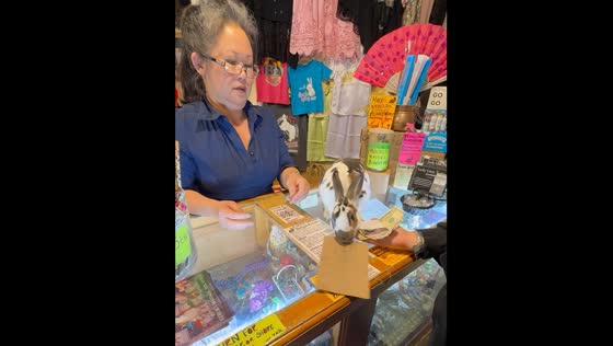Bunny hands over change and item at Eureka Springs shop
