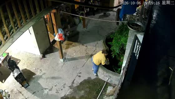 Woman carrying baby falls into pond in unexpected mishap in Yunnan, China