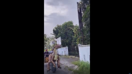 Yogyakarta's Mesozoic marvel: riding through time on a dinosaur rickshaw
