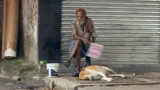 Man gently fans stray dog resting on roadside in Kolkata, India