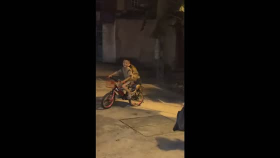 Dog rides behind a young boy on a bicycle in Hai Phong, Vietnam