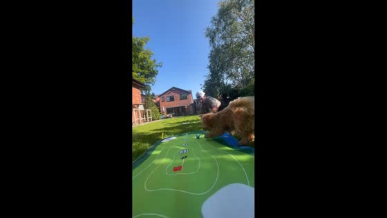 Golf practice interrupted by playful dog in Blackpool, England
