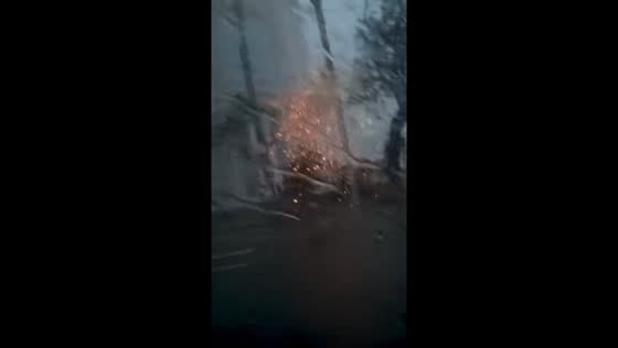 Lightning strikes tree during typhoon in Hainan, China