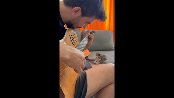 Kitten listens as man plays melodic guitar tune in Istanbul, Turkey