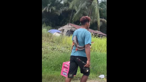 Person carries fish across back in Jambi video
