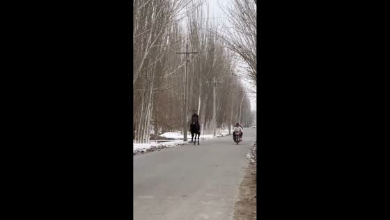Horse racing against motorcycle in Xinjiang, China
