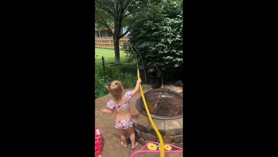 Little girl and playful dog enjoy backyard water fun in USA