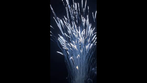 Chinese New Year fireworks light up the sky in Hunan, China