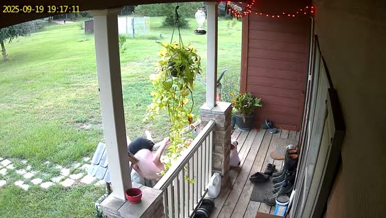 Man loses balance and falls on stairs while carrying trash in Livingston, Texas, USA