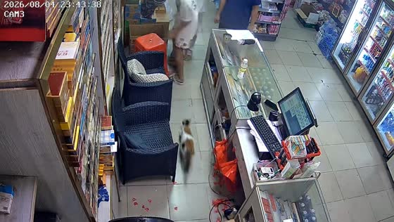 Cat chases a man around a convenience store in Guangdong, China