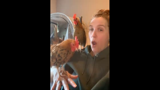 Woman mimics chicken sound as pets join in Washington, USA