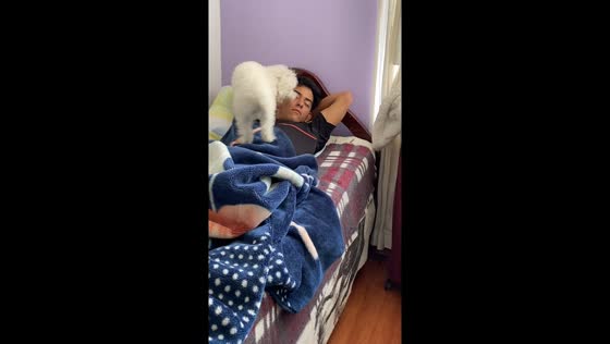 Colombian dog's adorable wake-up call for boyfriend