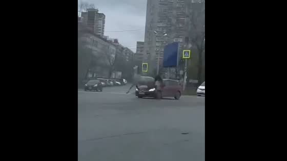 Horse jumps on car and breaks windshield in Khabarovsk