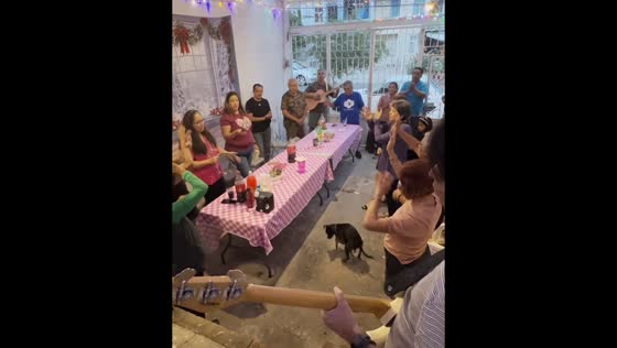 Dogs' hilarious antics steal the spotlight during family celebration in Guadalajara, Mexico