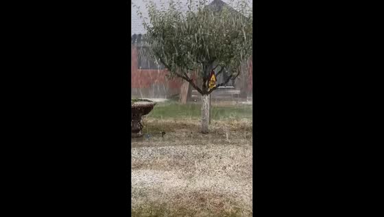 Heavy hail and torrential rain batter residential area in Satu Mare, Romania