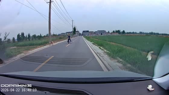 Woman on bicycle crashes into car while chased by dog in Shandong, China