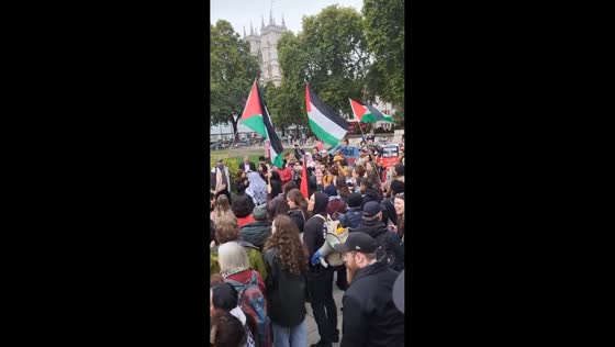 Pro-Palestinian protest for Gaza aid flotilla at Parliament Square in London, UK