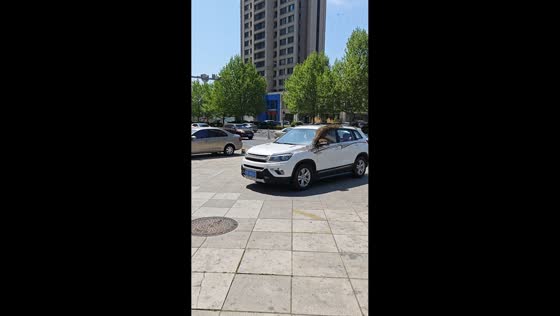 Large swarm of bees covers parked SUV in Liaoning, China