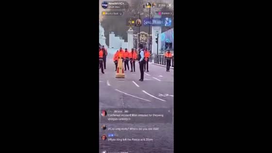 Man arrested after throwing suspected shotgun cartridges outside Buckingham Palace