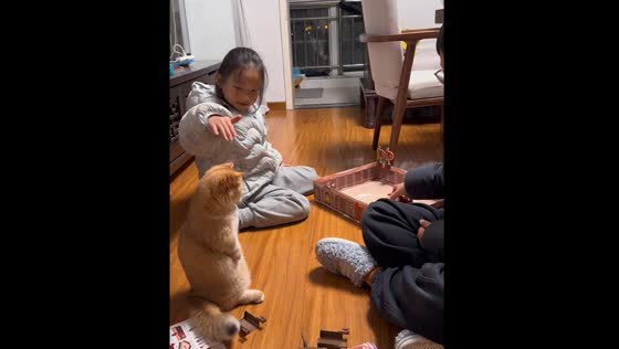 Cat sits upright and plays with children in Jiangsu, China