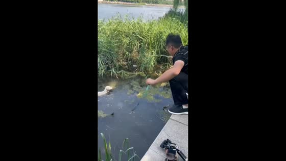 Man rescues struggling puppy from water in Hebei, China