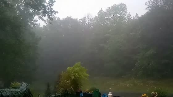 Heavy rain and gusty weather move through Blountsville, Alabama, USA