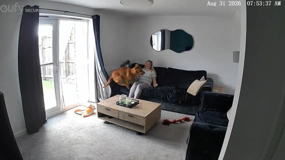 Energetic dog hilariously races around living room during zoomies in Seaham, UK