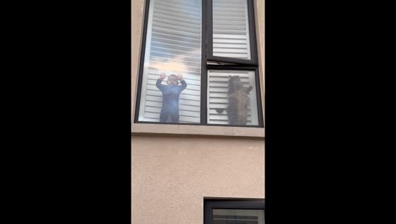 Child and cat watch dad return home from window in Dublin