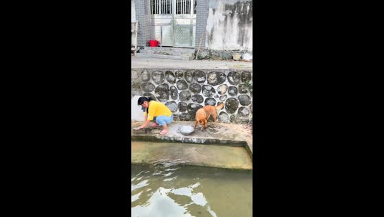 Dog returns fish to the water in Hunan, China