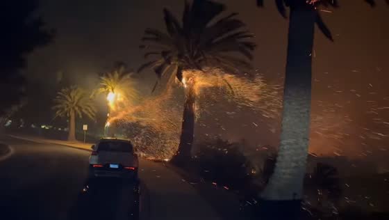 Pine trees catch fire during windy conditions in Malibu, California, USA