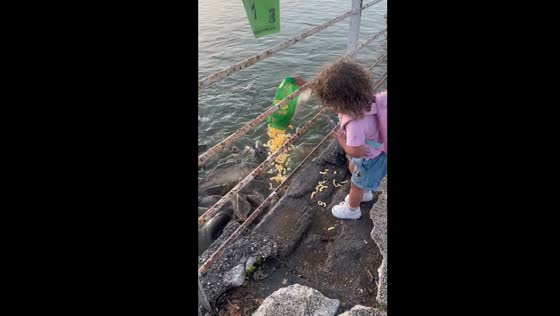 Feeding frenzy: child joyfully shares a meal with Madrid's fish