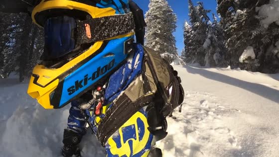 Snowmobile mishap: tree collision caught on camera