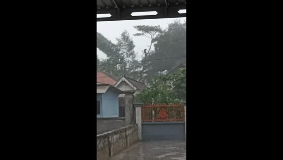 Man cuts tree amid rain and strong winds in Jember, Indonesia