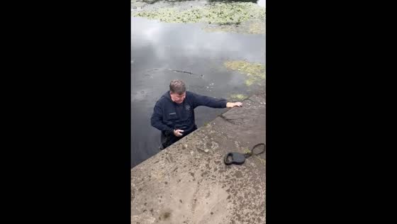Funny moment – man struggles to get to the surface after rescuing a dog