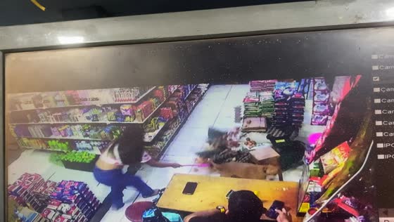 Dogs cause egg tray mishap in grocery store in Leticia, Colombia