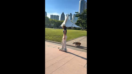 Skateboarder's trick interrupted by barking corgi in Shandong, China