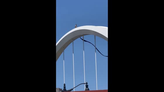 Protester remains atop Frederick Douglass Memorial Bridge in Washington, D.C., USA