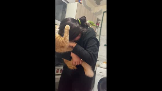 Cat clings to woman's head while bird perches on shoulder in Córdoba, Argentina