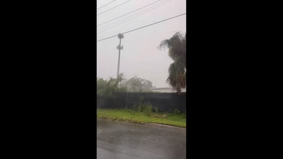 Sudden tropical downpour and winds sweep South Tampa, Florida