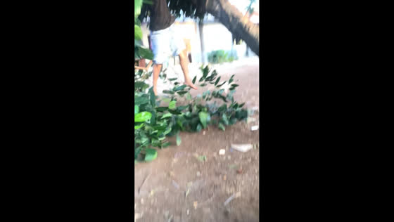 Hide and Seek Participant Falls from Tree in Jakarta