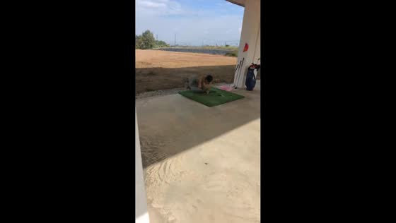 Man tumbles after missed golf swing in Yunnan, China