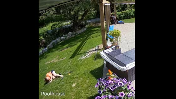 Dog's squirrel chase sends owner tumbling in Niagara-on-the-Lake