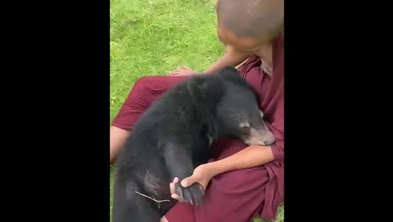 Little monks play with rescued baby bear in Myanmar