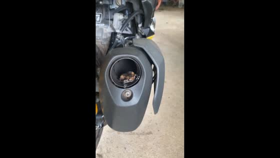 Frog hides inside motorcycle muffler in Khlong Luang, Thailand